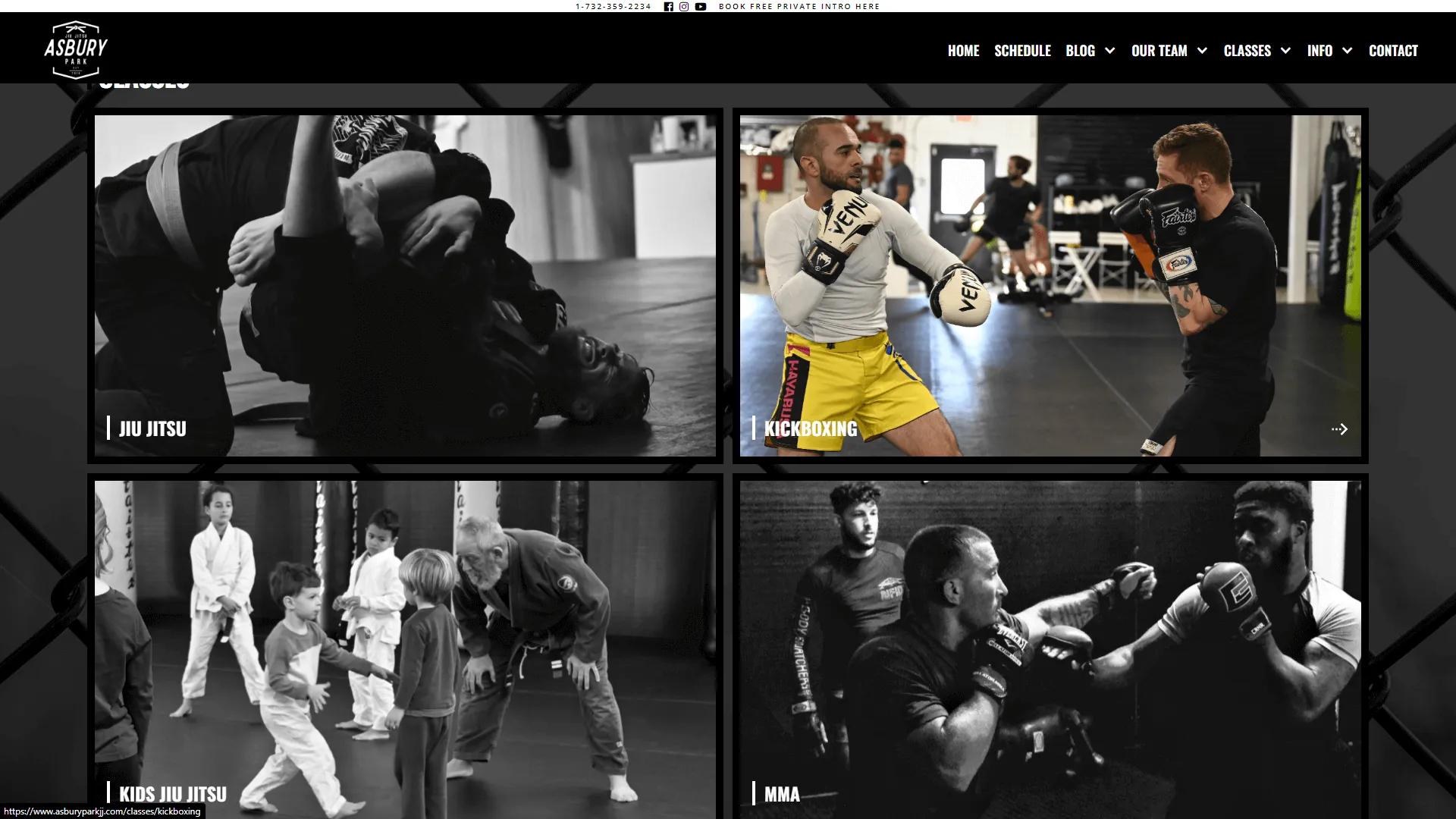 Asbury Park Jiu-Jitsu website preview